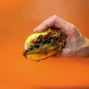 Combo 3: Brioche XL con hongos y cebolla caramelizada con batatas